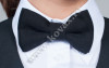 b_100_0_16777215_0_0_images_butterfly_babochka-black.jpg